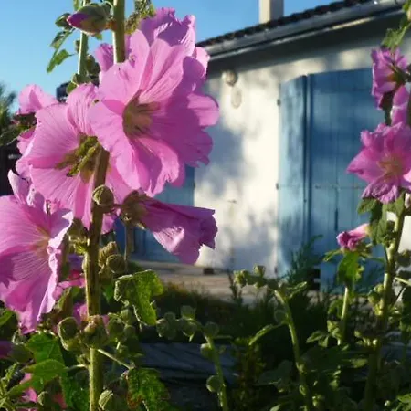 Apartament Nature & Vacances Saint-Pierre-d'Oleron
