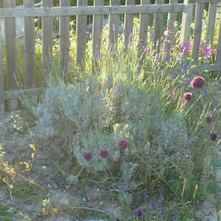 Apartament Nature & Vacances Saint-Pierre-d'Oleron